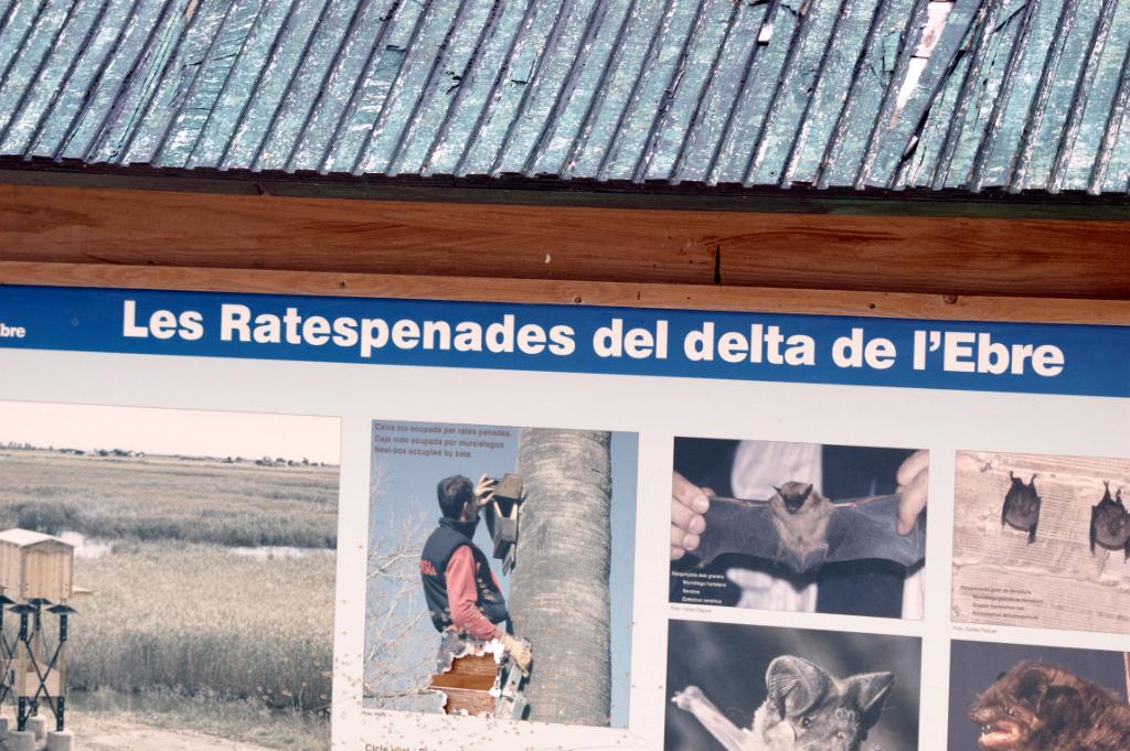 Las Ratespenades del delta de l'Ebre
